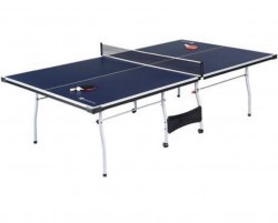 Ping Pong Table