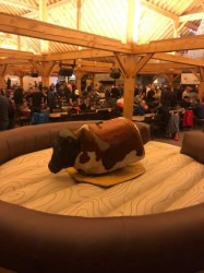 BA797D2C 75CF 4D3F 9EBC 333BDBBF4D4F 1677200452 1 Mechanical Bull