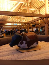 FDC673C7 F611 4DCB AFEB D2065BC2F4A0 1677200452 1 Mechanical Bull