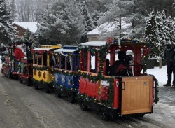 Holiday Trackless Train