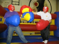 Big Glove Boxing (Gloves ONLY)