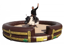 Mechanical Bull