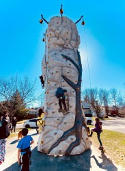 25' Rock Wall