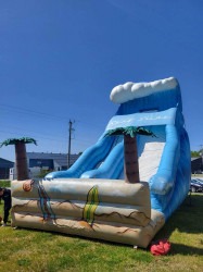 IMG 3951 1723851188 Tropical Wave Slide