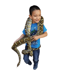 baby jesse 1744738108 Mini Petting Zoo Party Package
