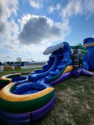 6FF44512 4A9B 480F A6E7 4989074D1D83 1753984939 Tropical Double Pool Combo