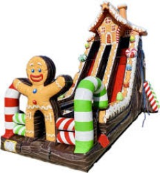 27 Foot Ginger Bread Double Slide