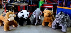 20220922 134131 1698937279 Ride on Animals