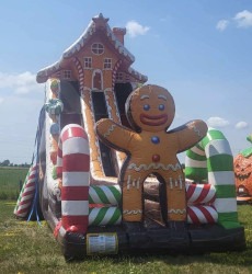 787556A9 C3D4 41D4 8399 C2C98443B81D 1753972522 22 Foot Ginger Bread Double Slide