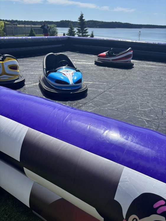 Bumper Cars