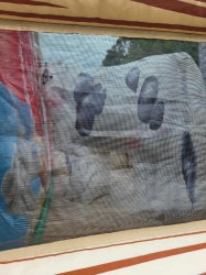 4c6a9c2962e5eaceb1d7751b118ddee0 1757524473 Farm House Toddler Zone