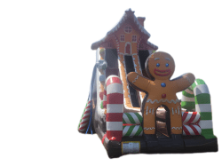 24FT TROPICAL BLUE WATERSLIDE201 1770399184 22 Foot Gingerbread Double Slide