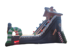 Ginger Bread slide rental 1770399184 22 Foot Gingerbread Double Slide