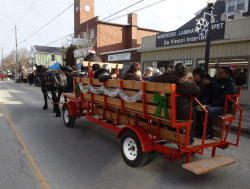 HORSE DRAWN WAGON RIDES1 RENTAL 1770426702 Horse Drawn Wagon Rides