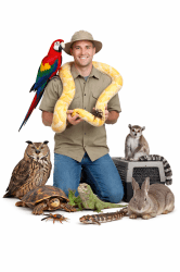 Exotic Animal Show