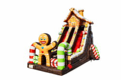 22 Foot Gingerbread Double Slide