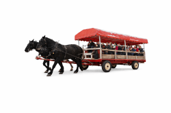 Horse Drawn Wagon Rides
