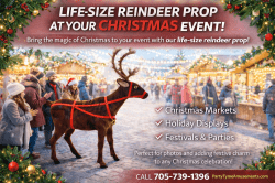 life size reindeer christmas market prop.jpg 1772756581 Reindeer Figurine